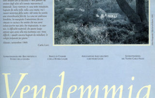 Vendemmia a Villa Levi Vendemmia a Villa Levi