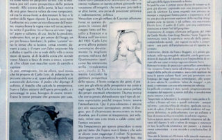 Vendemmia a Villa Levi Vendemmia a Villa Levi