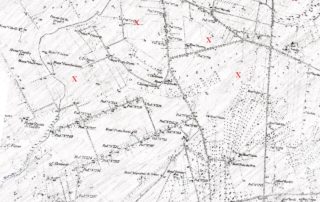 Trappole in libertà - Franco Boggero